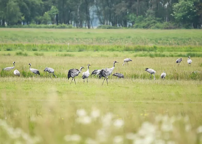 Luettstuv - Stilvolle In Historischer Seefahrtschule Mit Ostseeflair * 부스트로우
